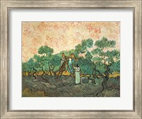 Framed Olive Pickers