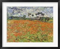 Framed Field of Poppies