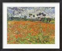 Framed Field of Poppies