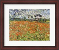 Framed Field of Poppies