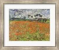 Framed Field of Poppies