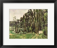 Framed Poplars