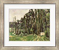 Framed Poplars