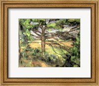 Framed Large Pine, 1895-97