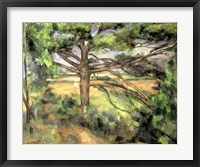 Framed Large Pine, 1895-97