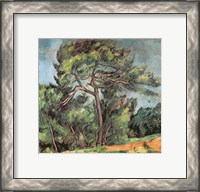 Framed Large Pine, c.1889