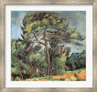 Framed Large Pine, c.1889