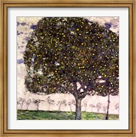 Framed Apple Tree II, 1916