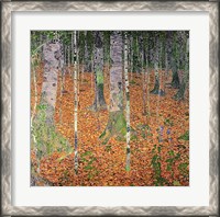 Framed Birch Wood, 1903
