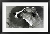 Framed Head of a Dog with Short Ears, 1879