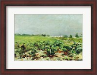 Framed Celeyran, View of the Vineyard, 1880