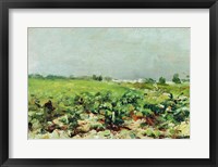 Framed Celeyran, View of the Vineyard, 1880