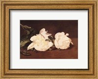 Framed Branch of White Peonies and Secateurs, 1864