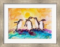 Framed Penguins Under the Sun