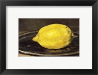 Framed Lemon, 1880