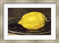 Framed Lemon, 1880