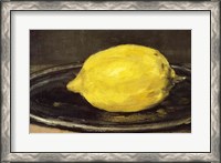 Framed Lemon, 1880