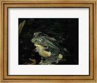 Framed Dejeuner sur l'Herbe, 1863 (frog detail)