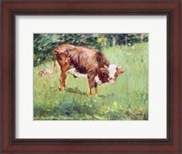 Framed Young Bull in a Meadow, 1881