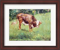 Framed Young Bull in a Meadow, 1881