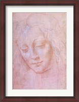 Framed Head of a woman