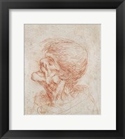 Framed Caricature Head Study of an Old Man