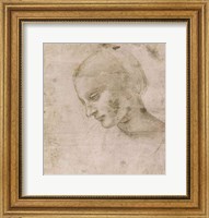 Framed Head of a Young Woman or Head of the Virgin