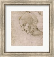 Framed Head of a Young Woman or Head of the Virgin