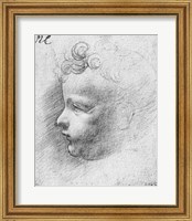Framed Head of a child