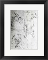 Framed Study of a dog and a cat