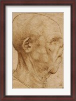 Framed Caricature of the head of an old man, in profile to the right, c.1507