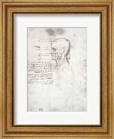 Framed Head of an Old Man in Profile