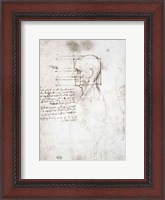 Framed Head of an Old Man in Profile