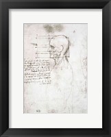 Framed Head of an Old Man in Profile