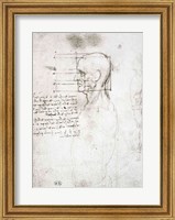 Framed Head of an Old Man in Profile