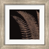 Framed Fern I (on black)