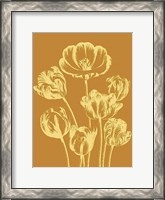 Framed Tulip 20