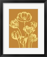 Framed Tulip 20