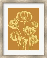 Framed Tulip 20