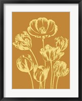 Framed Tulip 20