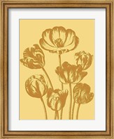 Framed Tulip 19