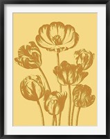 Framed Tulip 19