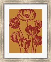 Framed Tulip 15