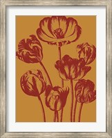Framed Tulip 15