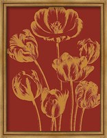 Framed Tulip 16