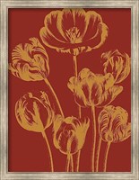 Framed Tulip 16