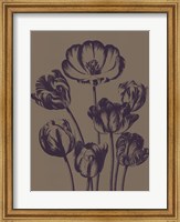 Framed Tulip 14