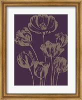 Framed Tulip 13