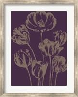 Framed Tulip 13