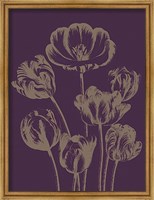 Framed Tulip 13